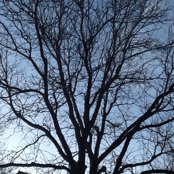 2015-02-06 17.38.47-2