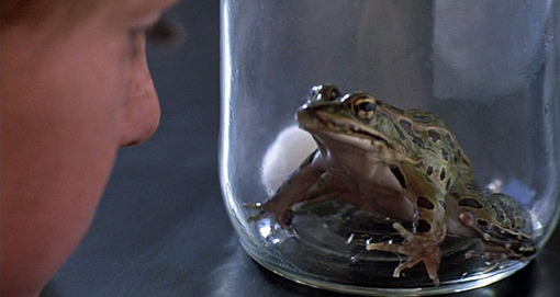 etfrog-thumb-510x271-29546