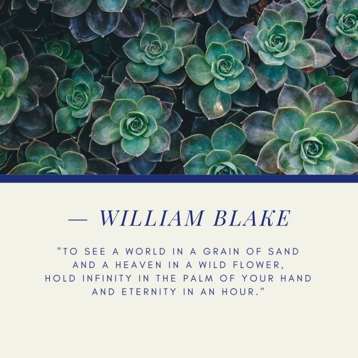 %22To see a World in a Grain of Sand And a Heaven in a Wild Flower, Hold Infinity in the palm of your hand And Eternity in an hour.%22