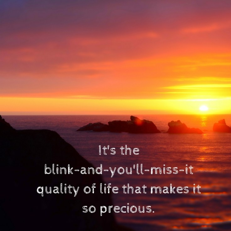 It's the blink-and-you'll-miss-it quality of life that makes it so precious.