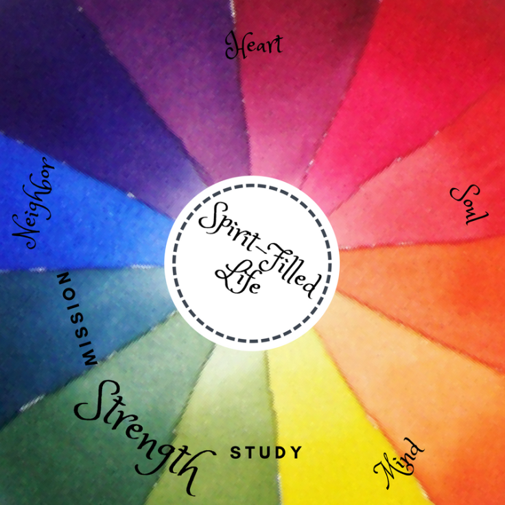 Spirit-Filled Life-9