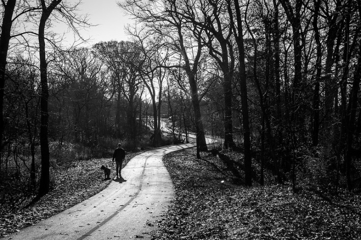 33256591036_08f4e0e1a1_c