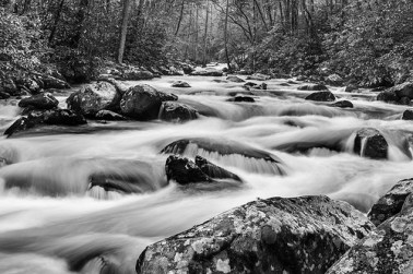 40309815774_fe66959db7